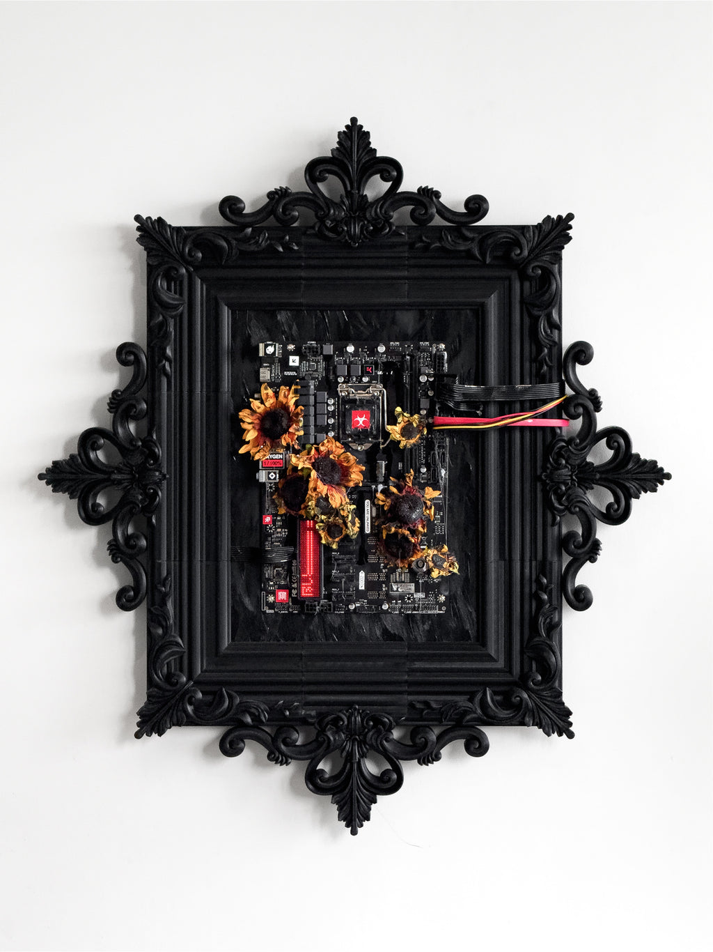 Burnt Cycle